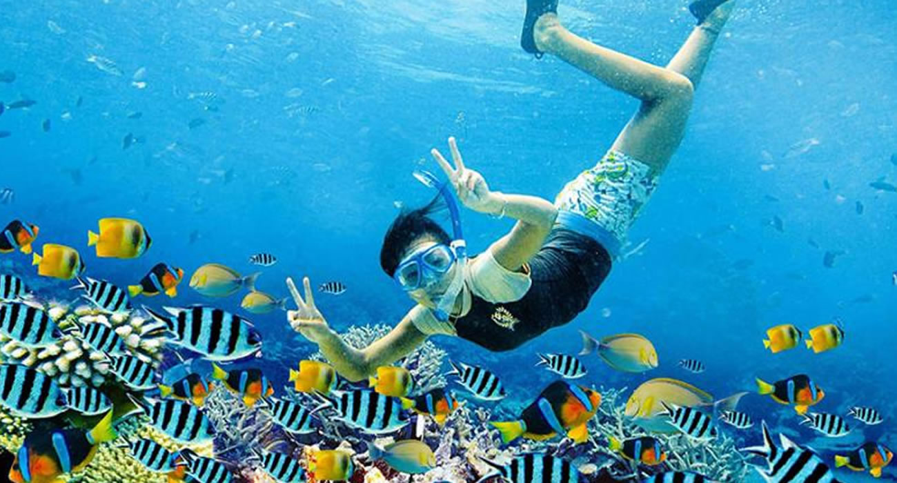 Nusa Penida Snorkeling; IDR.1.000.000,-